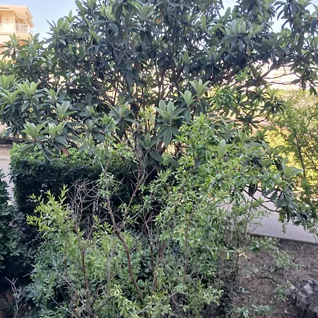 Apartmán De Luxe Entouree D'un Parc Et D'une Piscine Olympique Roquebrune-Cap-Martin