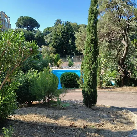 De Luxe Entouree D'un Parc Et D'une Piscine Olympique